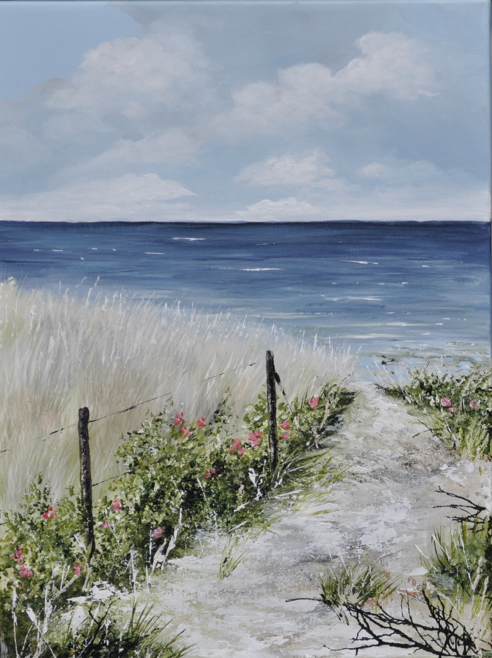 den lille vej til stranden